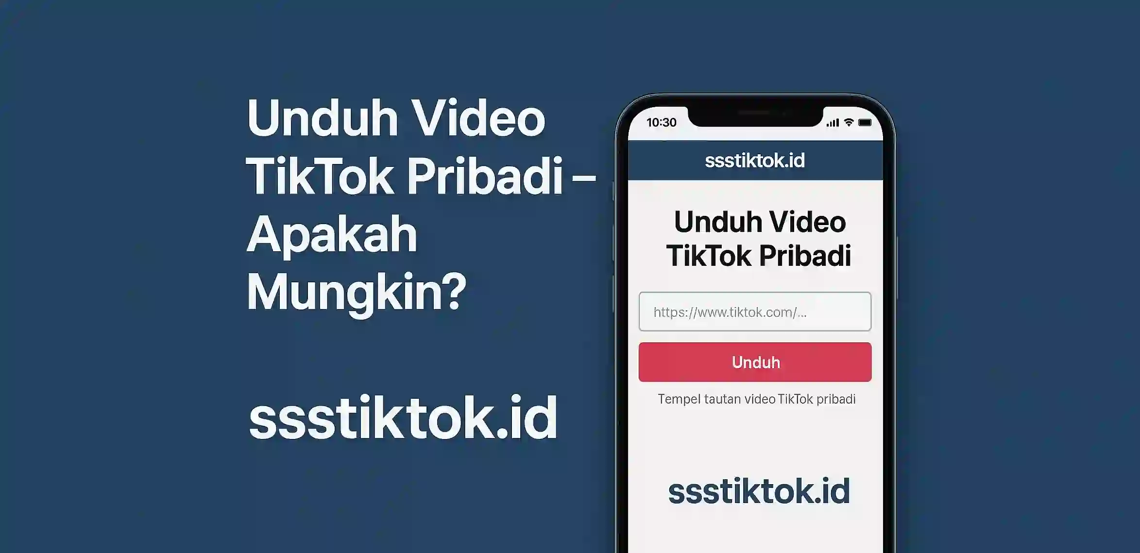 Unduh Video TikTok Pribadi – Apakah Mungkin?